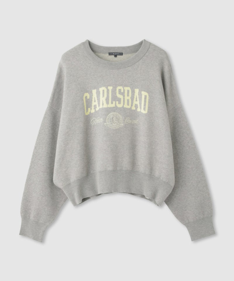 NAVY カレッジロゴWジャガードニット レディース商品画像-24