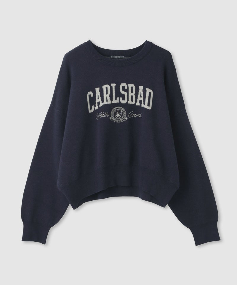 NAVY カレッジロゴWジャガードニット レディース商品画像-25