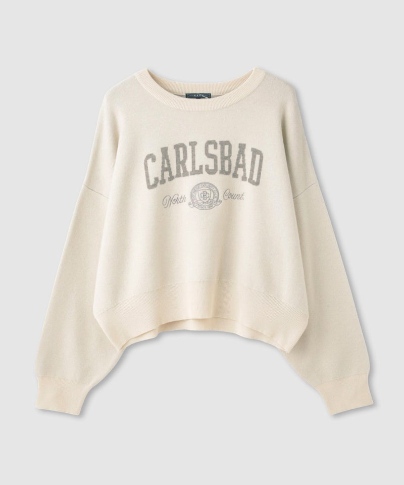 NAVY カレッジロゴWジャガードニット レディース商品画像-26