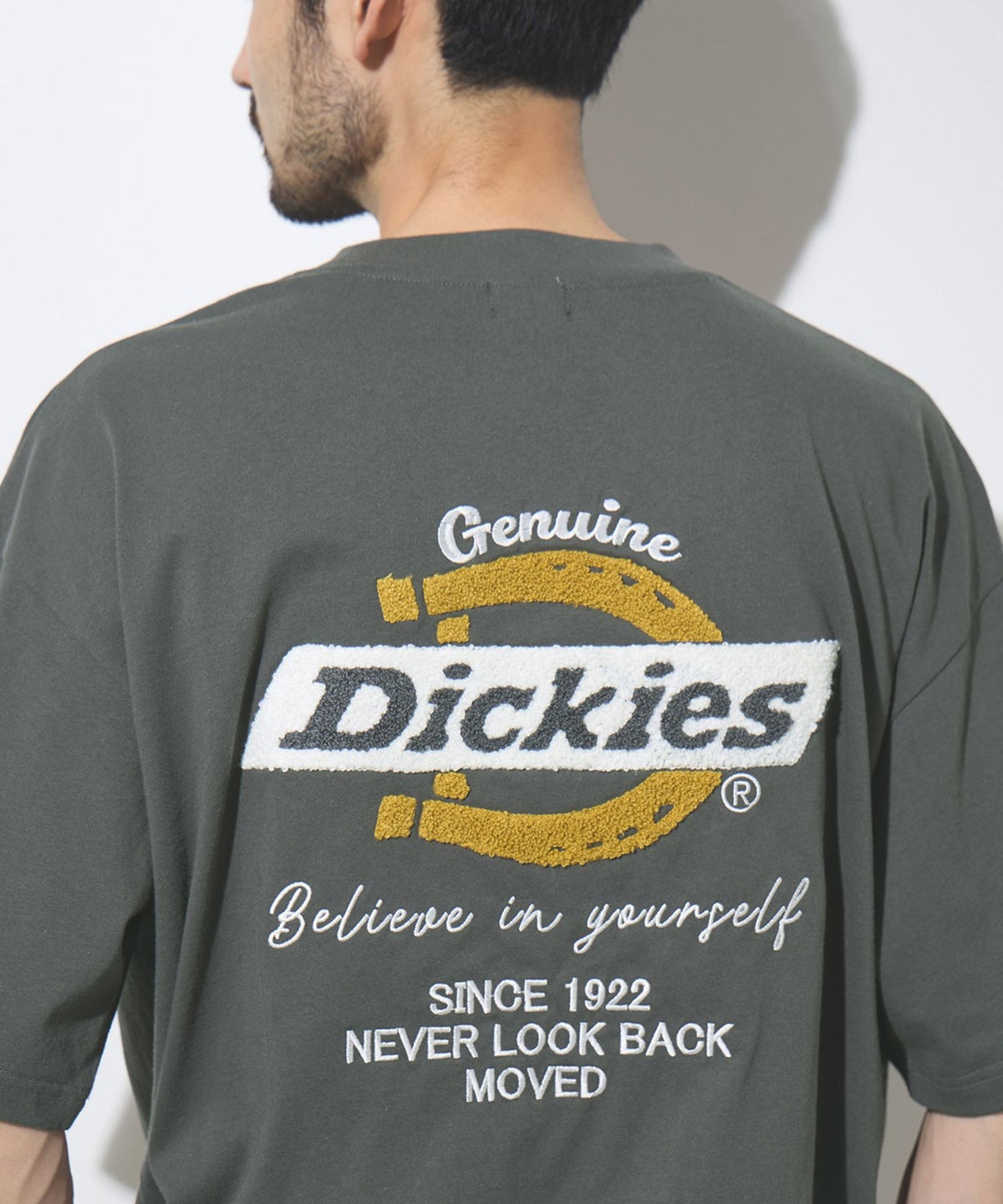 GENUINE Dickies バックロゴ刺繍Tシャツ メンズ メール便 対応商品