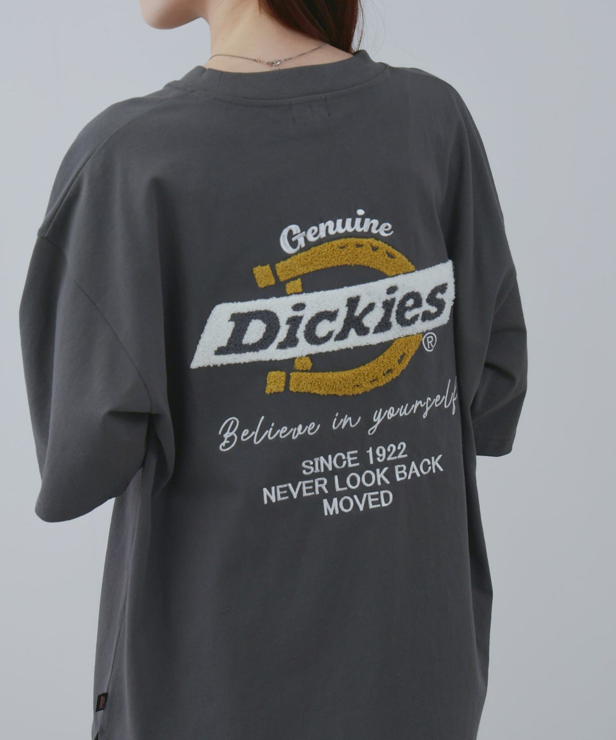 GENUINE Dickies バックロゴ刺繍Tシャツ メンズ メール便 対応商品