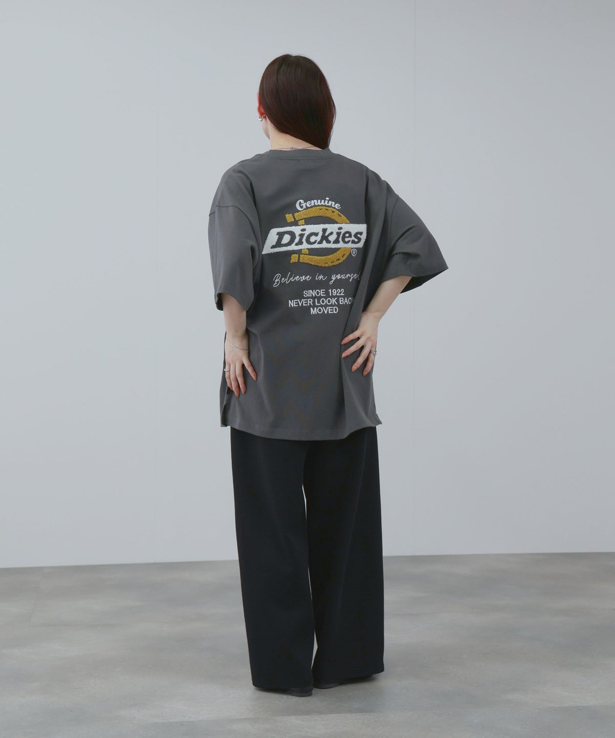 GENUINE Dickies バックロゴ刺繍Tシャツ メンズ メール便 対応商品