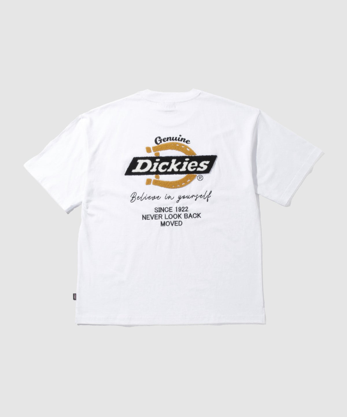 GENUINE Dickies バックロゴ刺繍Tシャツ メンズ メール便 対応商品