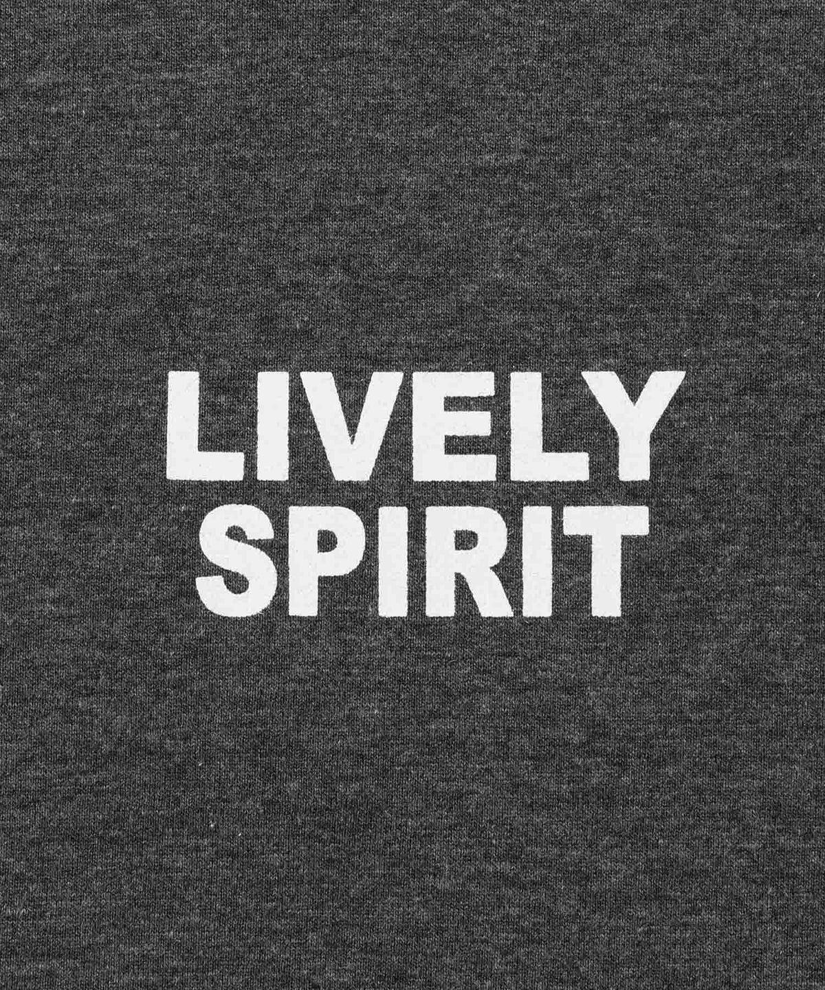 T-GRAPHICS ロゴメッセージ半袖Tシャツ メンズ メール便 対応商品