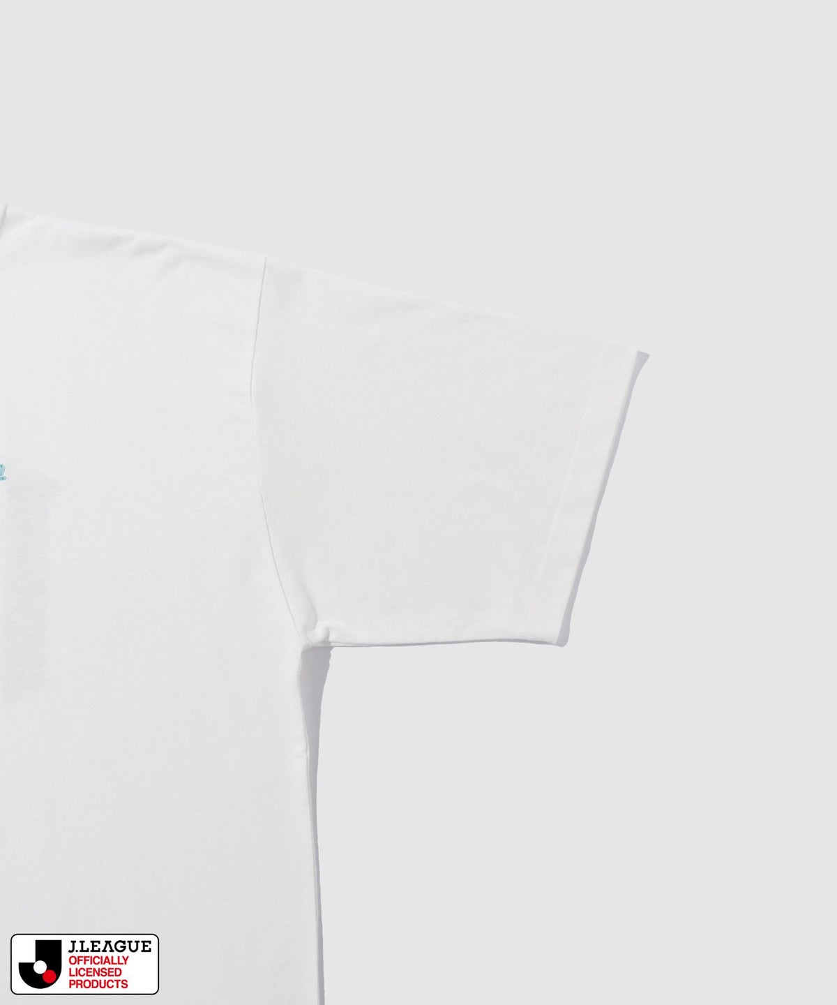 アビスパ福岡 デザインTシャツ/Jリーグ AVISPA FUKUOKA メンズ メール便 対応商品
