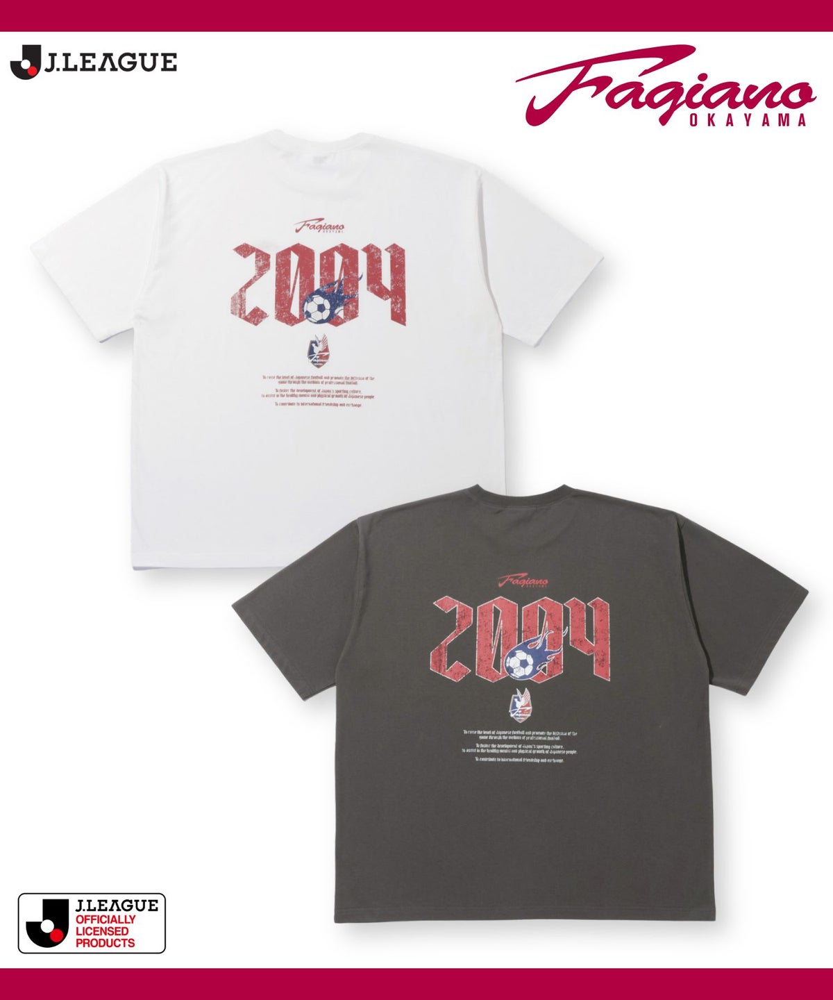 ファジアーノ岡山 デザインTシャツ/Jリーグ FAGIANO OKAYAMA メンズ メール便 対応商品