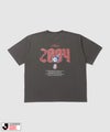 ファジアーノ岡山 デザインTシャツ/Jリーグ FAGIANO OKAYAMA メンズ メール便 対応商品商品サムネイル-8