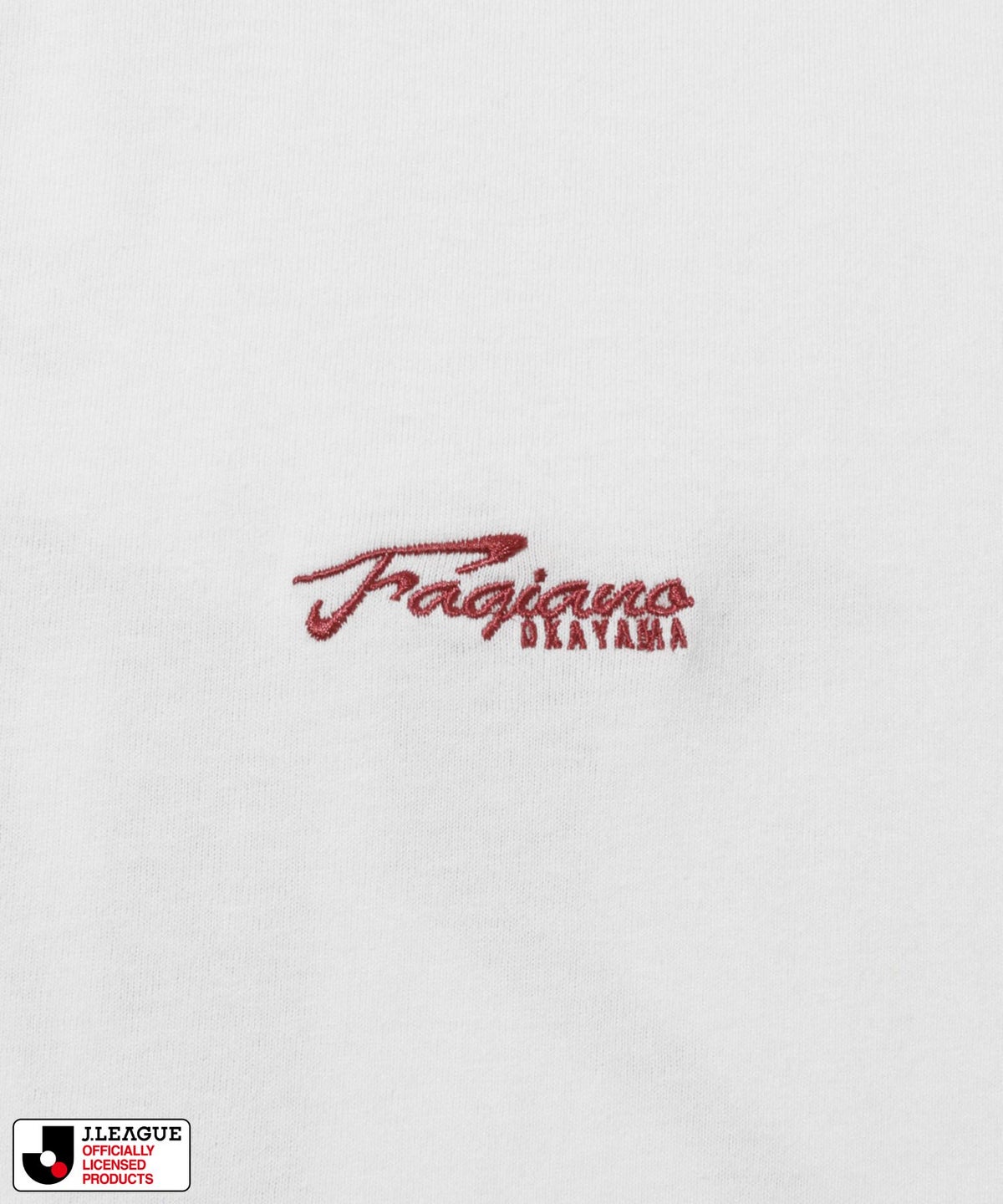 ファジアーノ岡山 デザインTシャツ/Jリーグ FAGIANO OKAYAMA メンズ メール便 対応商品