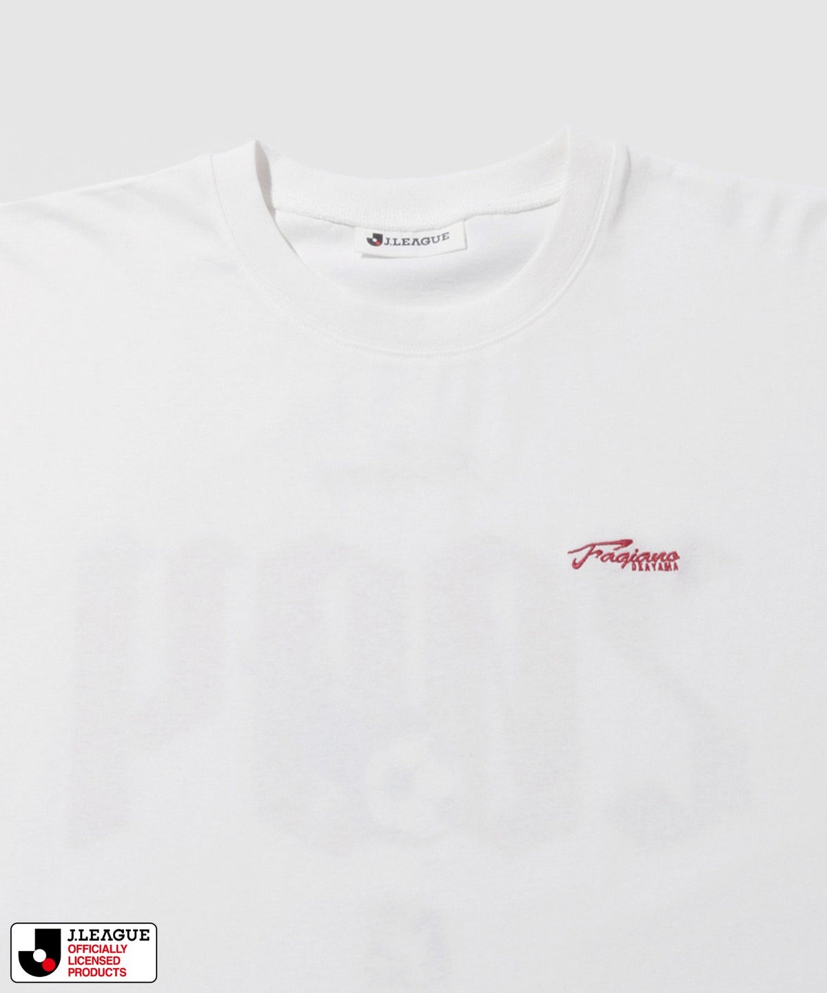 ファジアーノ岡山 デザインTシャツ/Jリーグ FAGIANO OKAYAMA メンズ メール便 対応商品