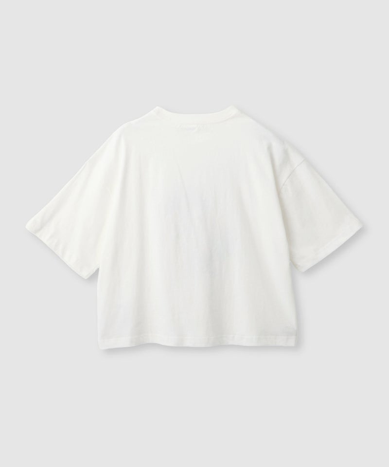 DISCUS アソートグラフィックプリント クルーネック半袖コラボTシャツ フロリダ大学 レディース メール便 対応商品商品画像-19