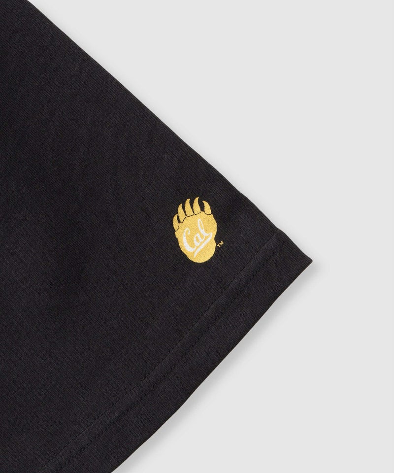 DISCUS アソートグラフィックプリント クルーネック半袖コラボTシャツ カリフォルニア大学 レディース メール便 対応商品商品画像-18