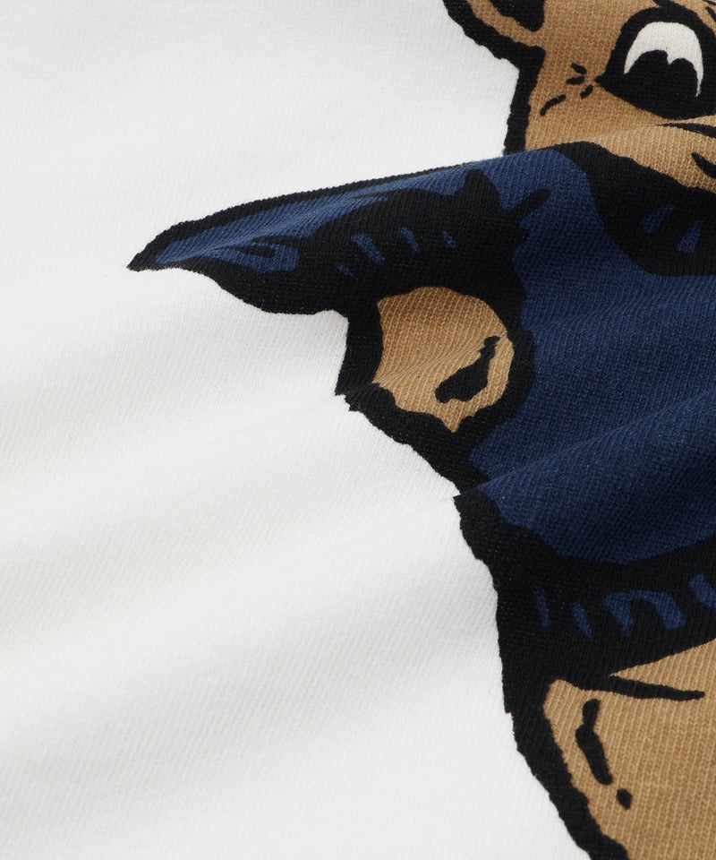 DISCUS  アソートグラフィックプリント クルーネック半袖コラボTシャツ カリフォルニア大学 レディース メール便 対応商品商品画像-20