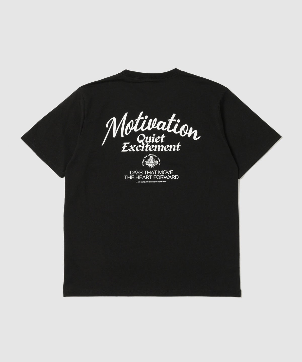 T-GRAPHICS TC天竺 ストリート バックロゴ 半袖Tシャツ メンズ メール便 対応商品