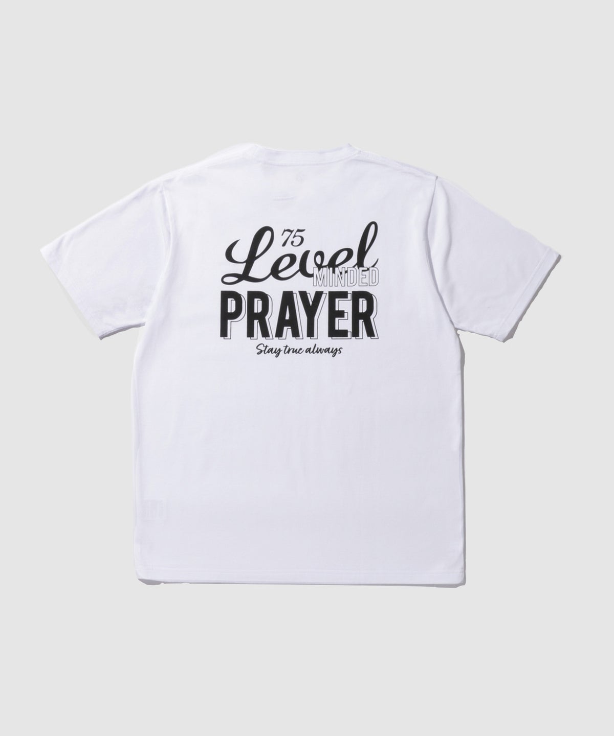 T-GRAPHICS バックロゴプリント半袖Tシャツ メンズ メール便 対応商品