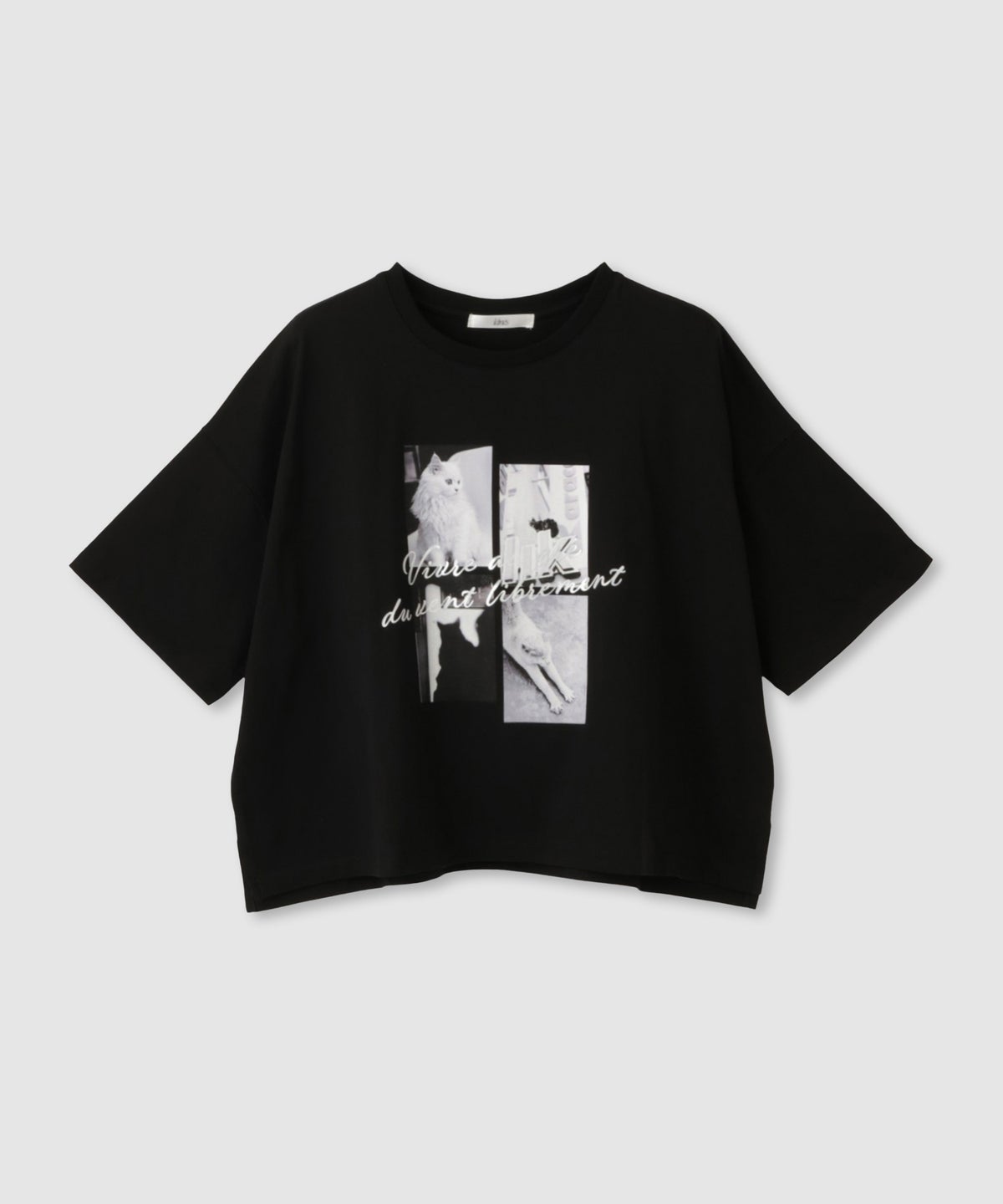 Idnes ネコフォトコラージュTシャツ レディース メール便 対応商品