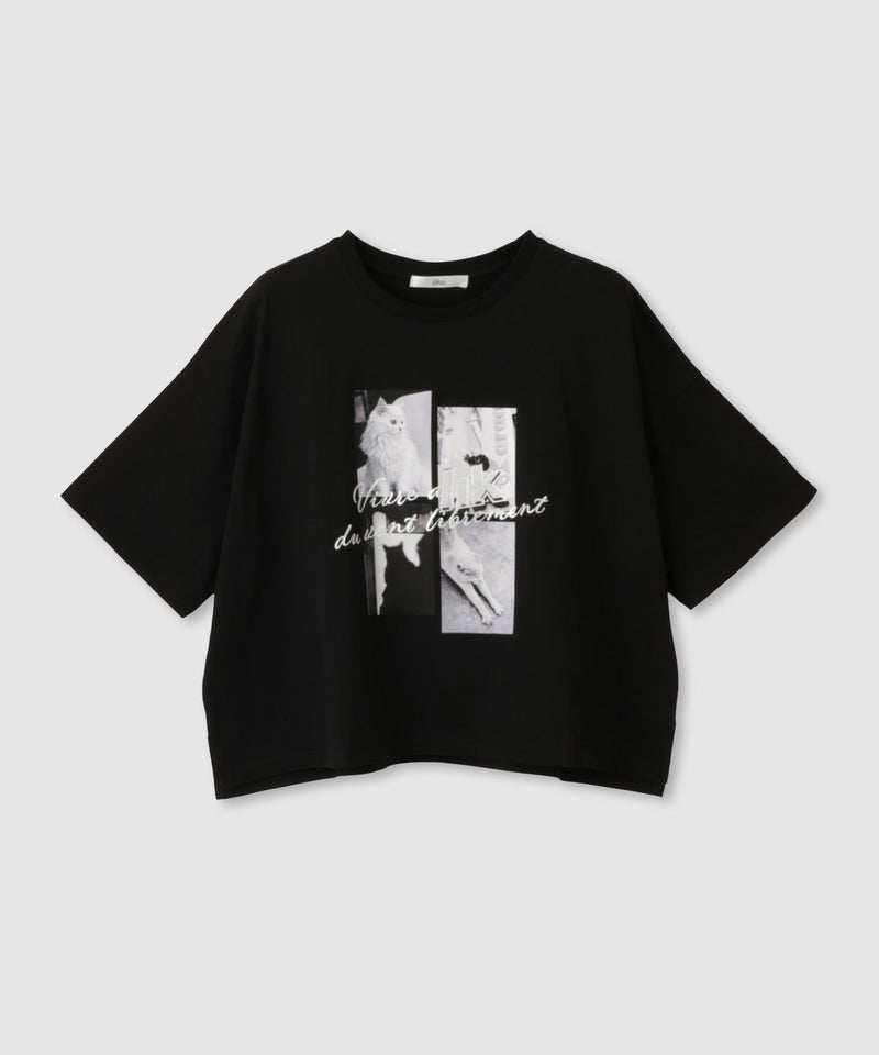 Idnes  ネコフォトコラージュTシャツ レディース メール便 対応商品商品画像-3